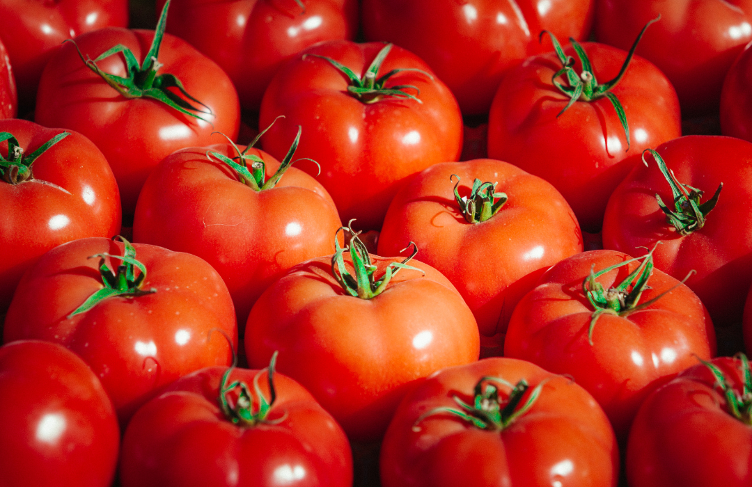 What can I do with a bumper crop of tomatoes?